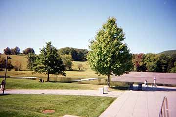 A landscape photograph of a park and trees.