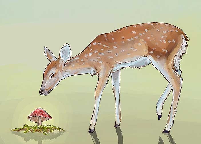 A deer bending down facing a mushroom.