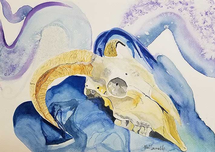 Skull painted from life