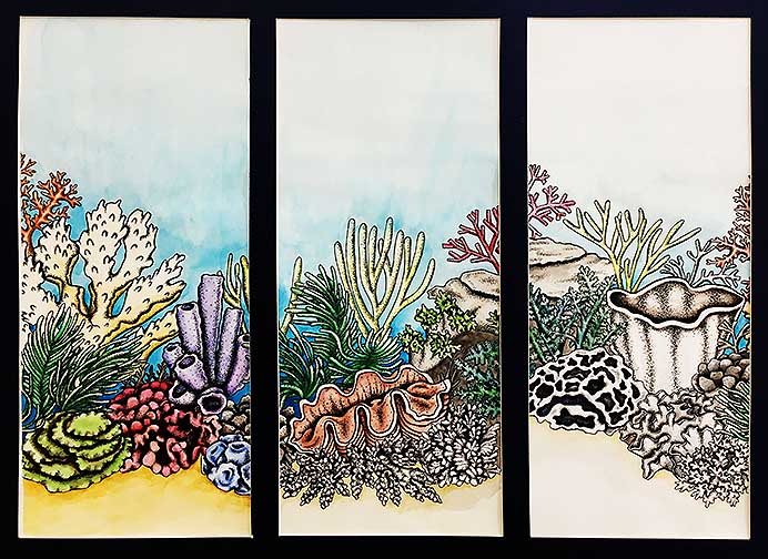 This illustration features a coral reef spit up into three parts that form one final composition. Each part, starting from left to right gets progressively less saturated in color to symbolize the bleaching of natures coral reefs.
