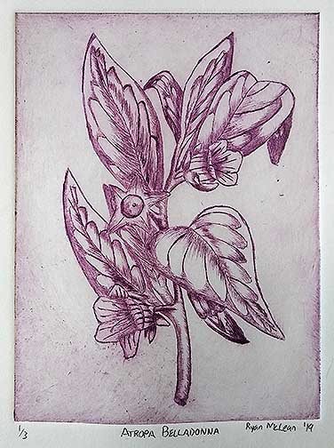 A branch of flowers and leaves is depicted in violet. This work focuses on line work and shading using lines.