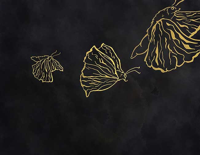 Part One of the Moth Triptychs. Three moths are flying up to the top right corner of the piece. The moths are in different stages of flight and each one is larger than the one before it, indicating that they are the same moth flying upwards. The moths are flying against a black background, where a watercolor brush was used to create textures. The moths are outlined in gold, and are not colored in, so the texture of the background is showing in their bodies.