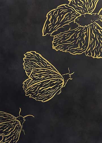 On a vertical canvas, the moth continues to fly upwards from the bottom left corner to the top right corner, getting progressively larger. The watercolor texture background is similar to the first in the series, but gets lighter around the top right corner behind the largest moth. The outlines of the moths are drawn in gold.