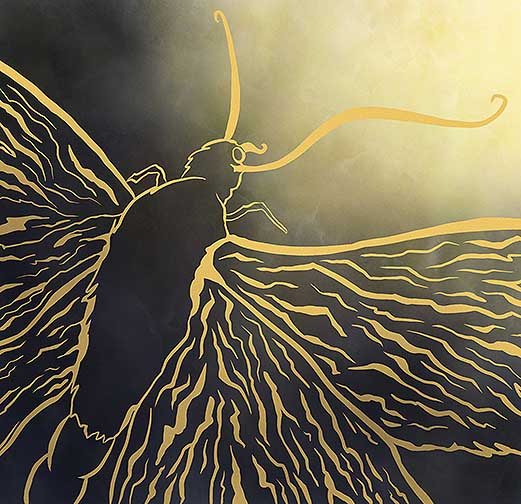 The last painting of the series is on an almost square canvas. It features one large moth coming from the bottom left corner and taking over most of the space. The background has a soft yellow light coming from the top right corner, where the moth’s face is pointed.