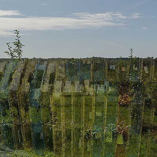 Part of a triptych that is visually abstract and explores the space within the image.