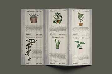 This is an image of a trifold pamphlet with illustrations of 6 different plants with the description and price of them. The background is a wood texture and the overall color pallet is muted earthy tones. 