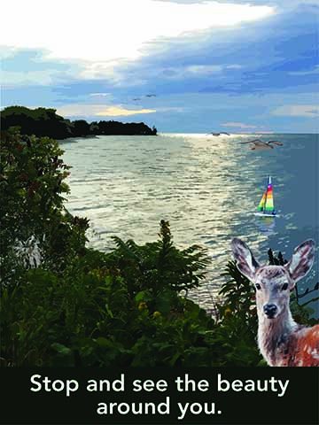 The composition consists of an illustrative photo collage of Lake Ontario’s bank with a dark green bar across the bottom that has white text saying “Stop and see the beauty around you.”. The illustrative collage is a view of Lake Ontario from behind some vegetation that has a Boreal Owl camouflaged and sleeping. There is also a deer in the foreground looking at the viewer. Out on the water there is a sail boat with a rainbow sail, and in the air are four seagulls at varying distances from the viewer.