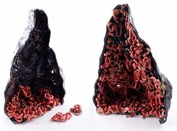 Image a: Two roughly pyramid forms side by side on a white background. The leftmost form is black with red and black intestinal forms filling the bottom quarter. The rightmost form is completely filled with the same red and black intestinal forms. There is less black on the right form. Between the two forms are two stray pieces of intestinal forms.