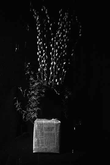 “Stationary” is also a part of a digital photograph series titled “The Quarantine Studies”, that was created in the height of the COVID-19 pandemic. The heavy contrast black and white photo shows what appears to be a small bouquet of flowers and vines floating or hanging above a box wrapped in newspaper from the time the photo was taken. Around the photo are droplets of water which appear to be in motion falling from above. This causes the plants to look very stationary, hence the name of the piece.