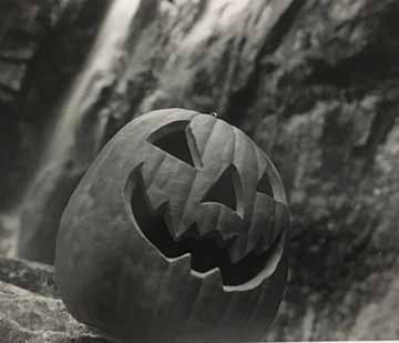 This is another black and white image of a close up of the pumpkin sitting on a rock with a bigger waterfall behind it. 