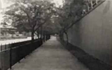 This black and white photo is an image taken on the sidewalk next to the river. On the right there is a railing  that turns to trees farther down. On the left side is a concrete wall that also has trees that start farther down. The sides help frame the sidewalk as it disappears and looks like it gets narrower as it goes.