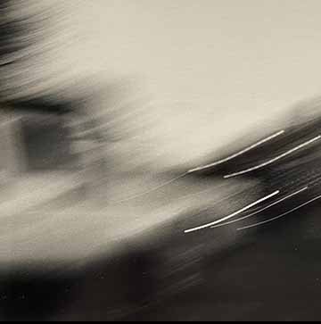 This black and white is a blurred image of a street in Oswego. Although the image is blurred, on the left side of the photo there is half a truck, you can see the back window and the truck bed. The trees that were around created black swoosh lines on top of the image.