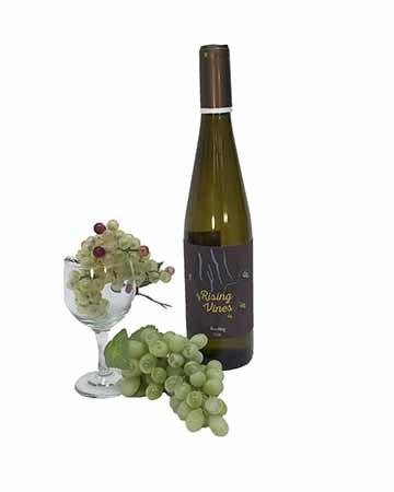 Rising Vines was for a class that makes wines every semester. They are located near the finger lakes. On my label I made the background a darker purple color. In the center of the label I have an outline of a wine glass that is a little darker than the label color, in the wine glass I have the 4 finger lakes. I have the name of the wine in yellow letters with vines with grapes on them coming out of the letters. On the ends of the label I have a level bar showing the sweetness or dryness of the wine, a littl