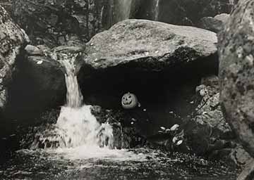 This photo is a black and white image of a pumpkin sitting under a rock next to a little waterfall. 