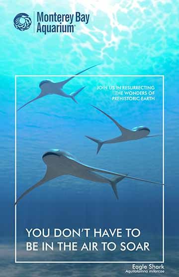 A bamboo shark can be seen on corals. It has brown and white stripes and is outlined for its specific style.