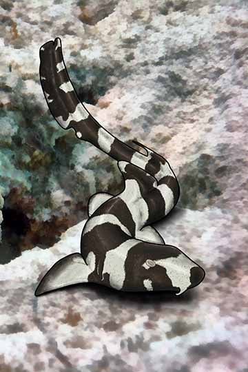 Three Eagle Sharks are swimming in the water. They have long fins that look like wings but a tail like a shark and a wide mouth. The view is from underneath and the surface of the water can be seen. The layout is created like a mock Monterey Bay  Aquarium poster. The largest Shark is enclosed in a white line with the Monterey Bay log on the top left of the pieces. In the middle right there’s a text that reads “Join us in resurrecting the wonders of prehistoric earth”. On the bottom left a slogan reads “You 
