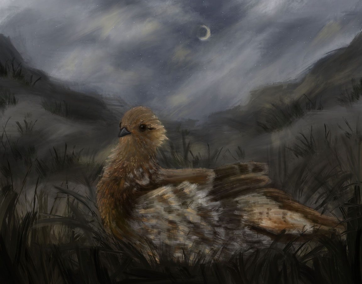 A fluffy little brown bird laying in the grass. The background is hills and the night sky with a crescent moon. 